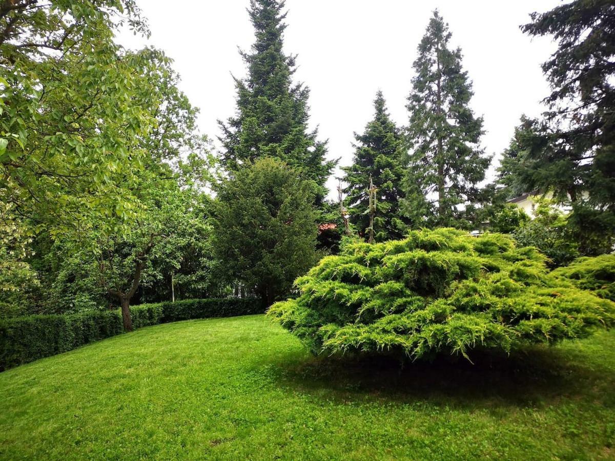 Casa Carla, Immersa Nel Verde Dei Colli Bolognesi ساسو ماركوني المظهر الخارجي الصورة